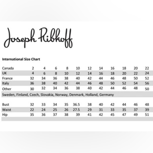 Joseph Ribkoff metallic dress - Picture 6 of 6